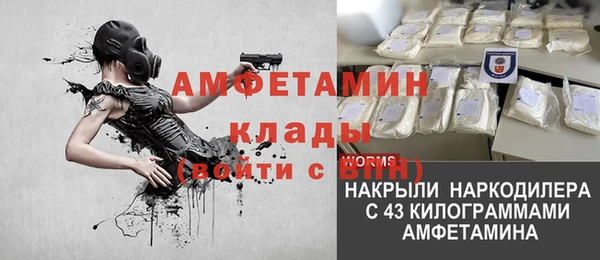 прущие грибы Нягань
