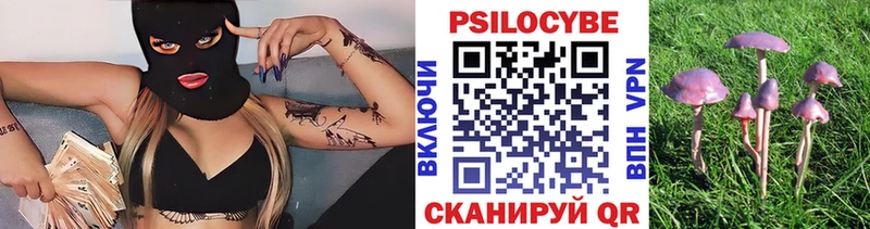 что такое   Павлово  Галлюциногенные грибы ЛСД 